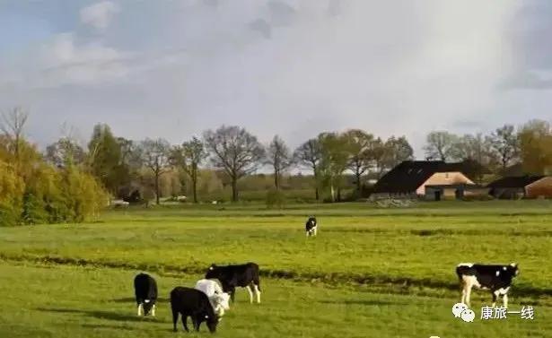 温泉康养旅居抱团养老好地方,养老康养行业前景