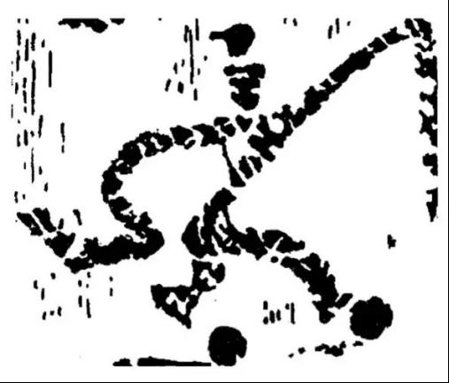 古代运动：蹴鞠=足球？