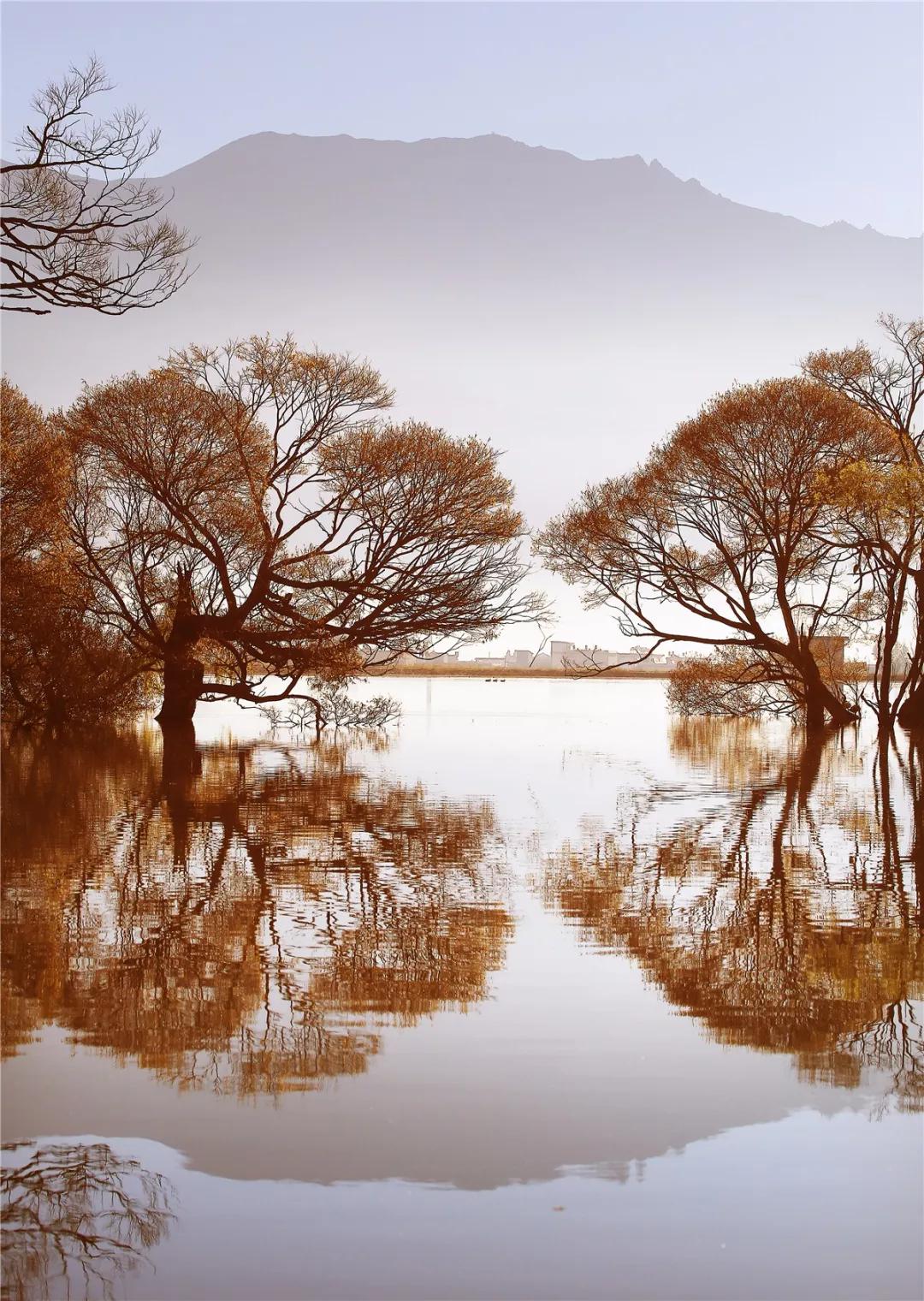云南自驾5条最佳线路图,云南适合开车自驾的公路