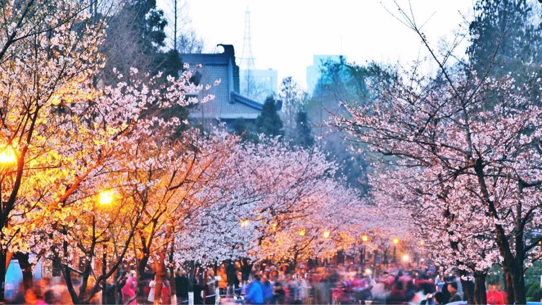 疫情防控取得阶段性胜利有序恢复,疫情胜利在望