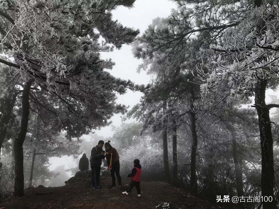 绍兴诗意民宿酒店式公寓,绍兴诗意