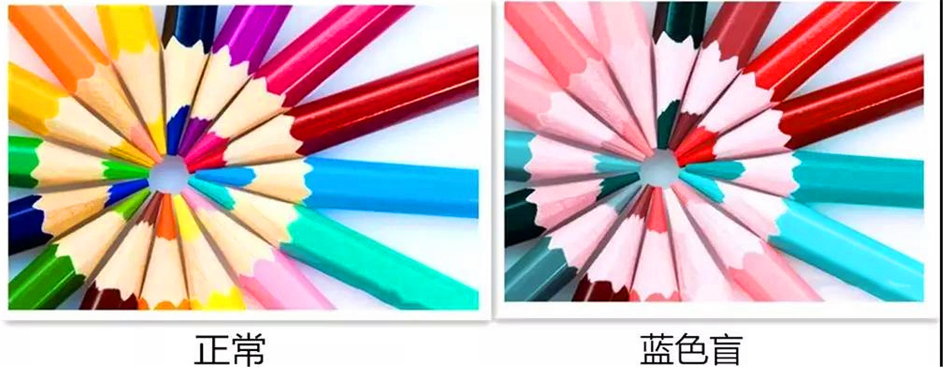 色盲与正常人眼中的世界的区别,色盲和普通人眼中的世界对比