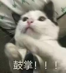 iphone被禁售了吗,iphone禁售后还能卖多少苹果手机