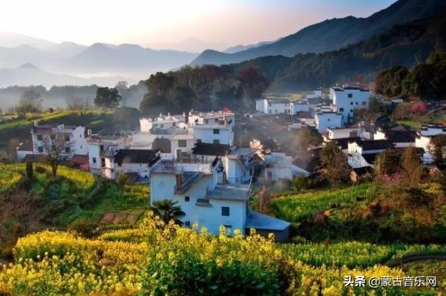 新歌推荐|乌兰娜《童年的油菜花》油菜花开正当时不负*光春**不负己