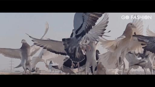 张予曦戴金丝框眼镜,张予曦银色服装