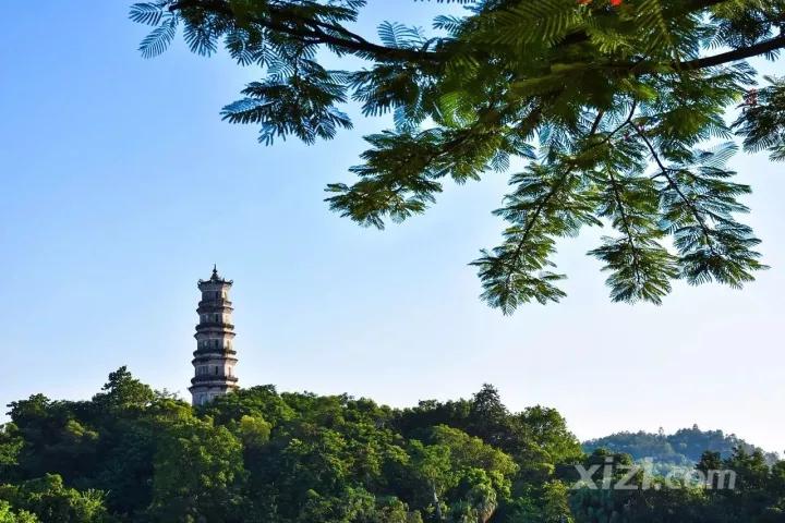 惠州博罗木屋温泉,惠州富力养生谷网红温泉度假别墅