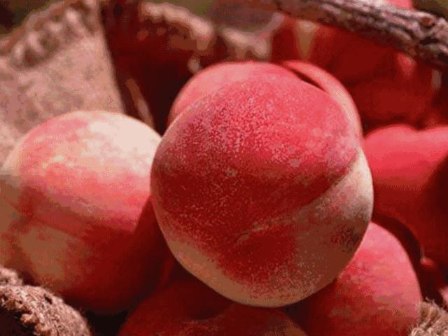 企业如何在同质化竞争中脱颖而出,差异化竞争打造独一无二的产品