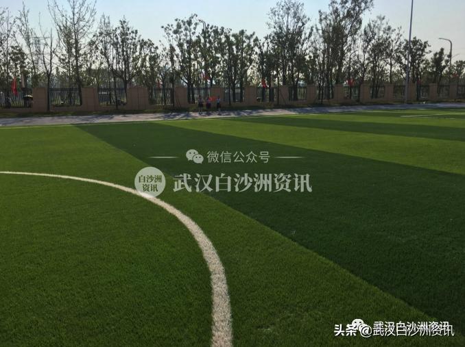 武汉武昌黄家湖小学,武汉黄家湖小学新消息