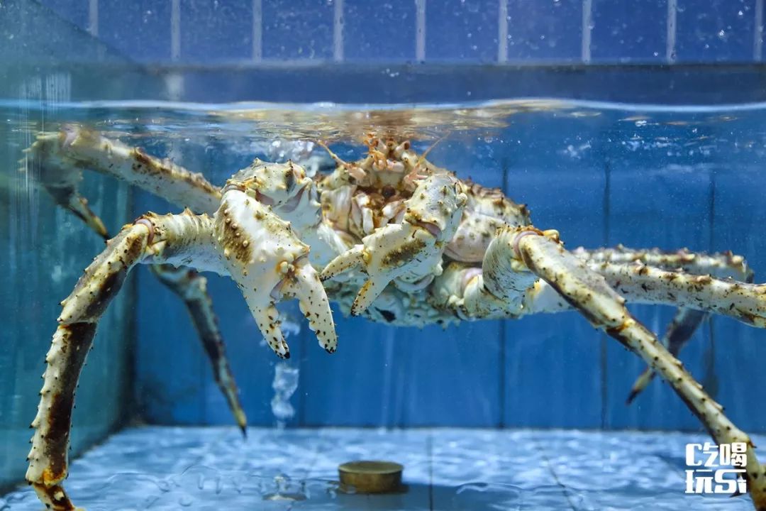 南边这座新晋美食地攻略来啦,收藏