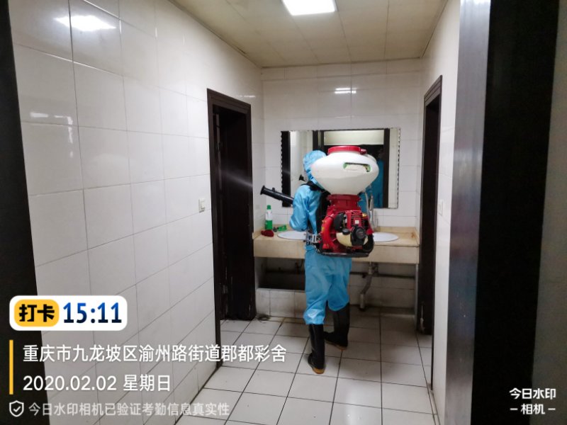 重庆办公室消甲醛品牌,重庆办公室消甲醛加盟