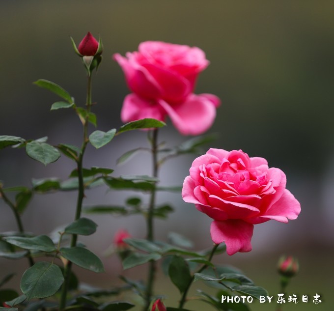 天柱山畅游,天柱山亲子游攻略