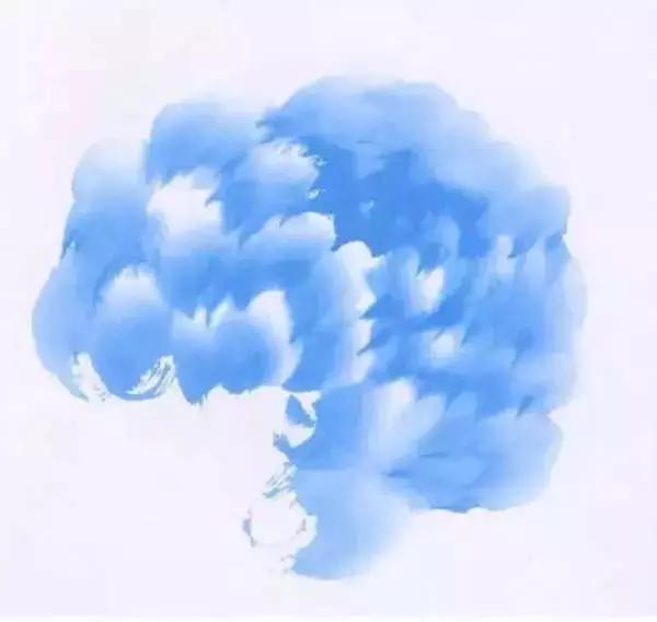 牡丹九大色系,九种牡丹调色法