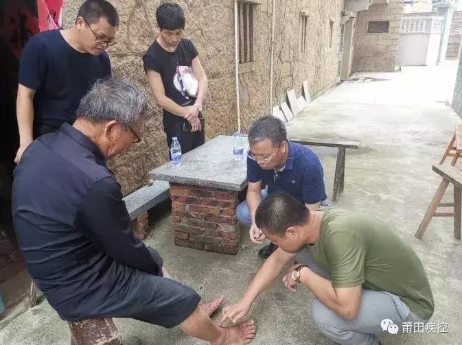 漳州人当心！这种虫子又出来惹事！有人被咬后痛苦万分，甚至昏迷