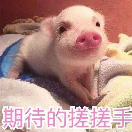 iphone会在中国禁售吗,iphone禁售后还可以购买吗