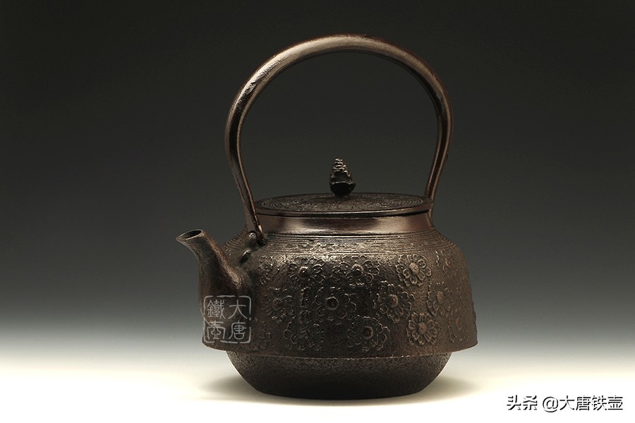 如何挑选一个入门级的铁壶,日本十大入门级铁壶