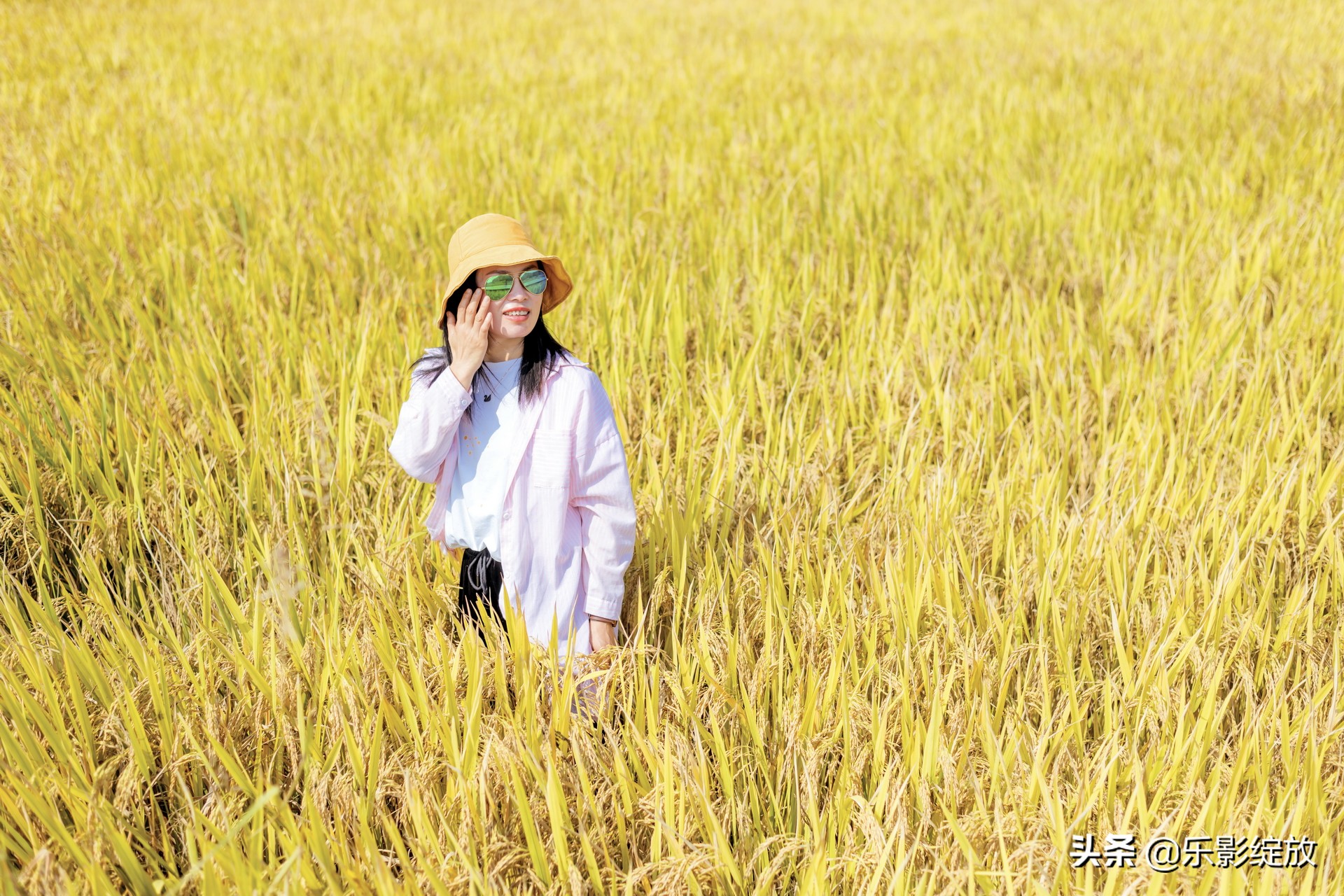 带小花狗去野外生存,带着小花去兜风