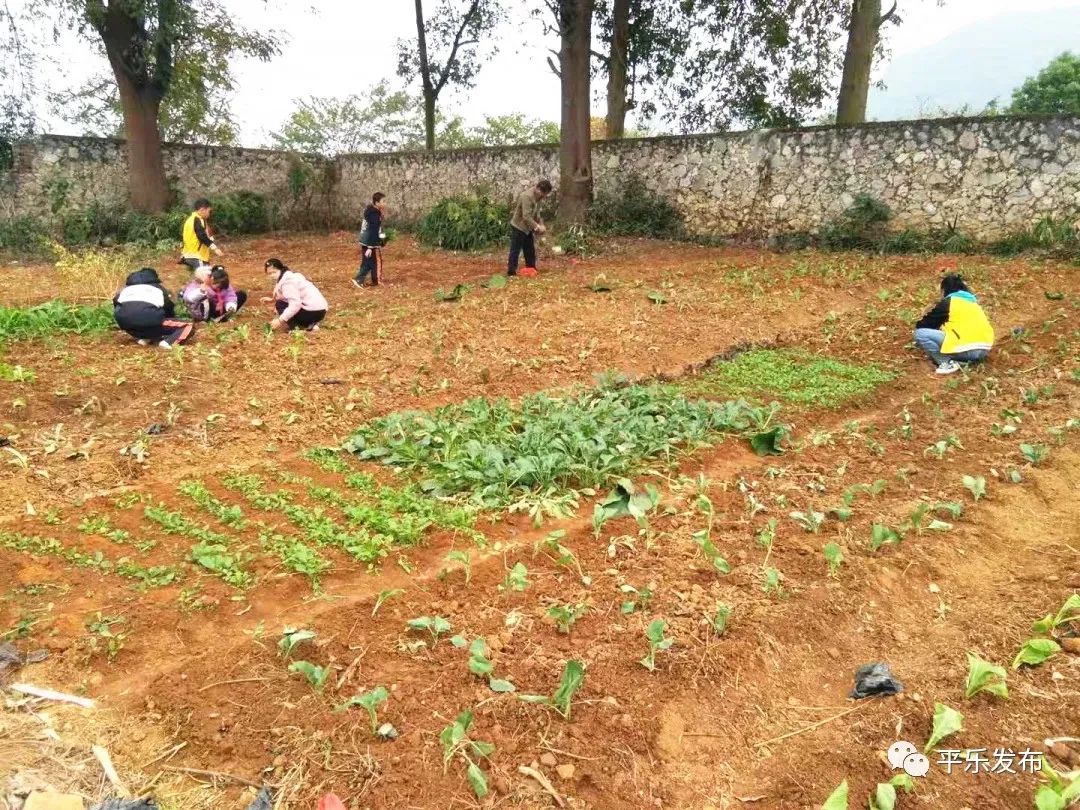 桂林平乐二塘矮山小学,广西桂林平乐二塘高桥小学