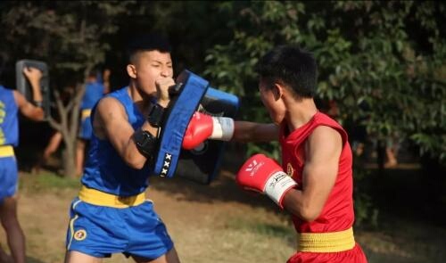 武术学校恶性事件,武校到底有多可怕