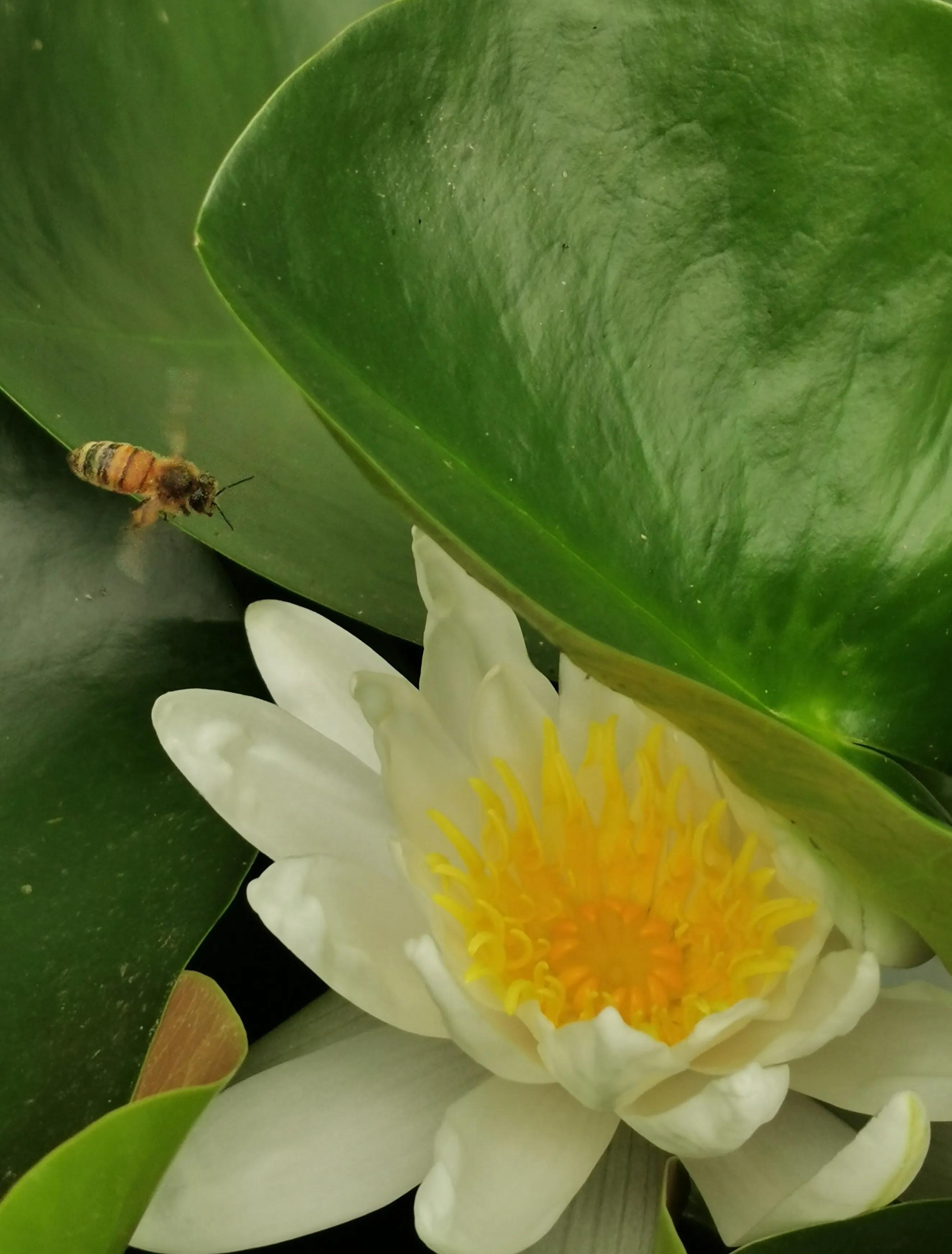 手拍世界投稿,手拍世界作品专集