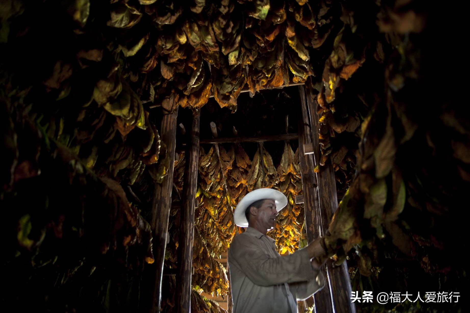 给我一支雪茄，我别无他求！探访世界顶级雪茄故乡，人人享受其中
