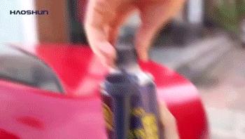 引起爱车心脏不适的罪魁祸首竟然是它