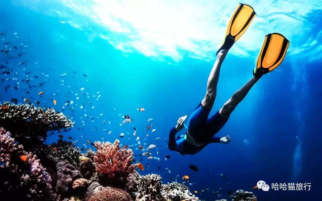 马来西亚落地免签,马来西亚官宣免签