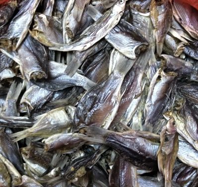 田间趣事完整视频,童年趣事下塘摸鱼