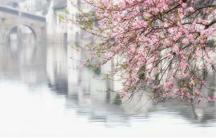 胡兰成今生今世完整版,胡兰成今生今世