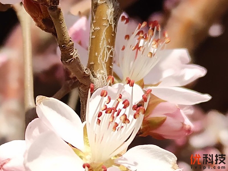 iqoo手机性能发挥到极致,最值得买的全新iqoo手机