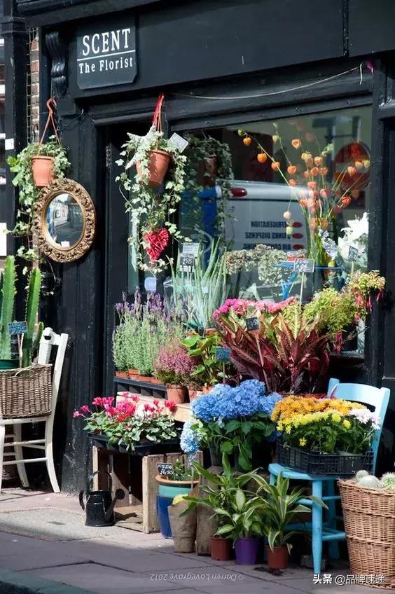 早晚开一家属于自己的花店,开一间温馨的花店