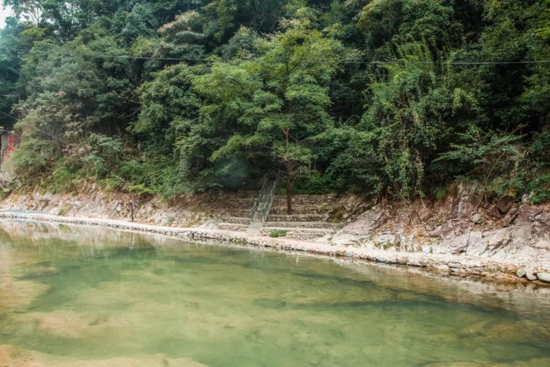 金华小九寨风景区,小九寨原始森林半日游