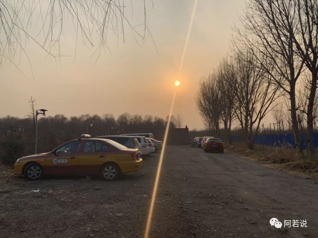 揭秘非法贩猫产业链,揭秘行业秘密