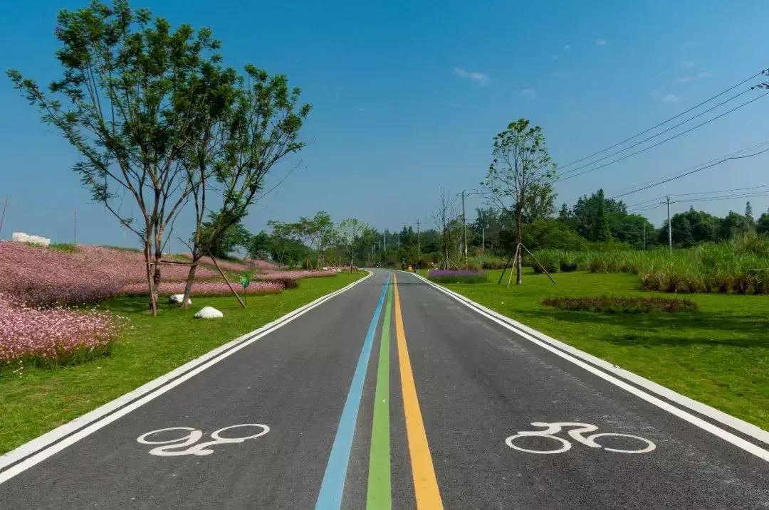 城市公园怎么玩,公园玩法