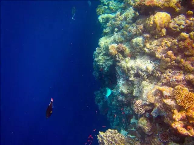 对帕劳之行的感悟,帕劳一场诗和远方的旅行