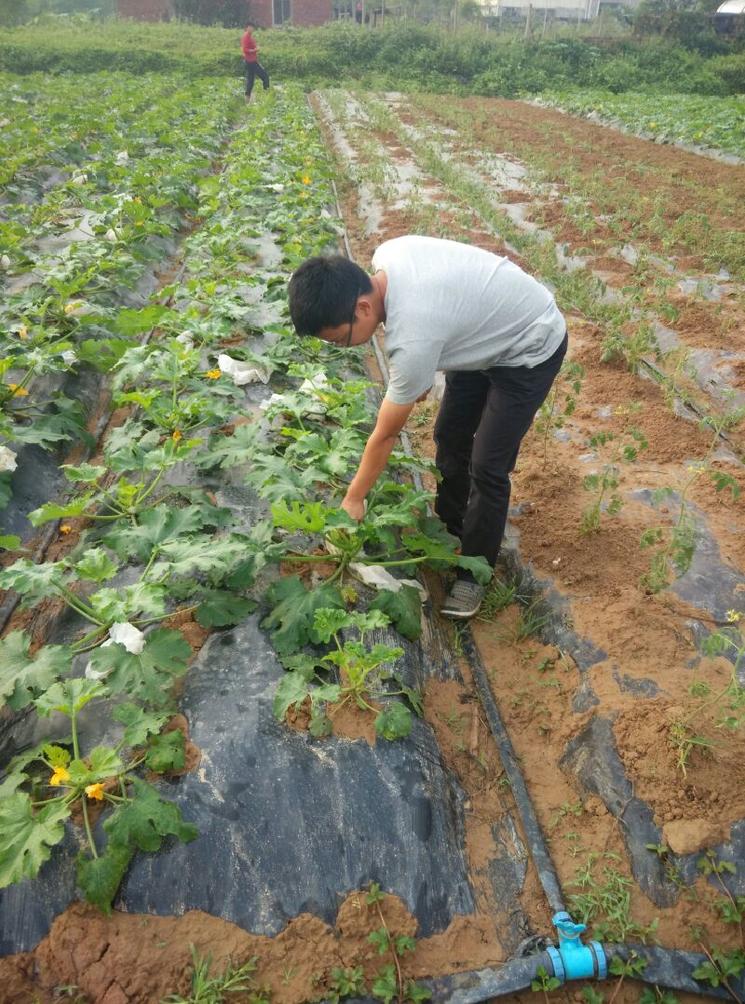 1000亩地怎样打造一个生态农场,300亩农场建设视频