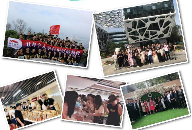 师大教育网络培训平台,师大教育机构官网