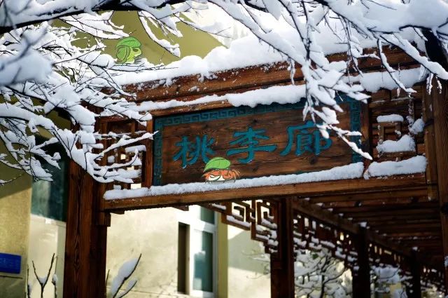 厉害的学校中国,厉害大学