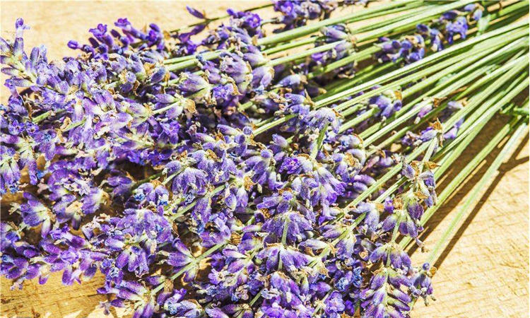 香水科普篇：闻香识女人，香水选错可能会致癌？3招教你挑对香水