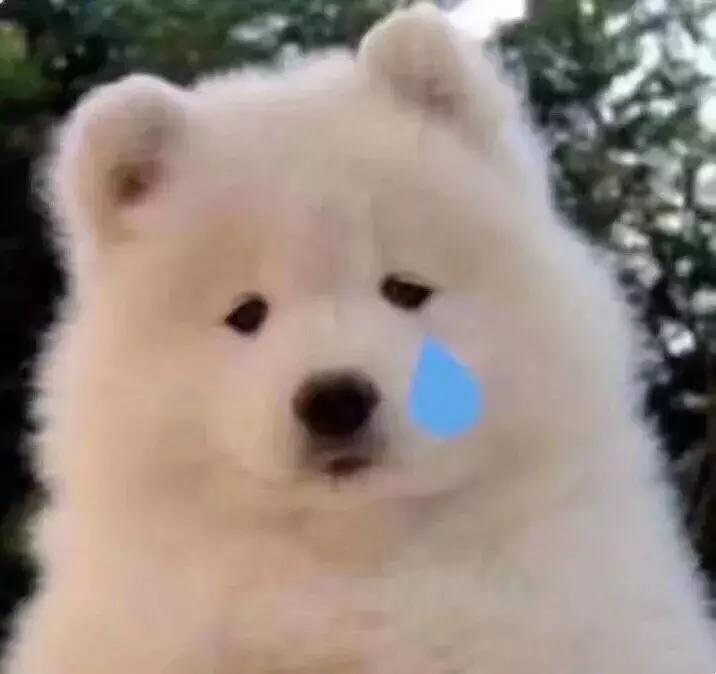 欧阳娜娜推荐止痛贴,欧阳娜娜擦的药膏