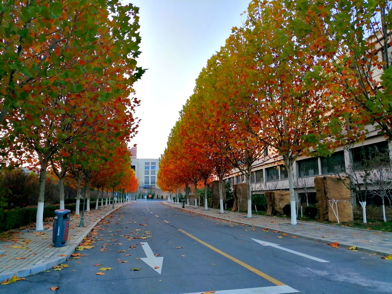 荣耀10青春版朱正廷壁纸无水印,荣耀10青春版渐变红