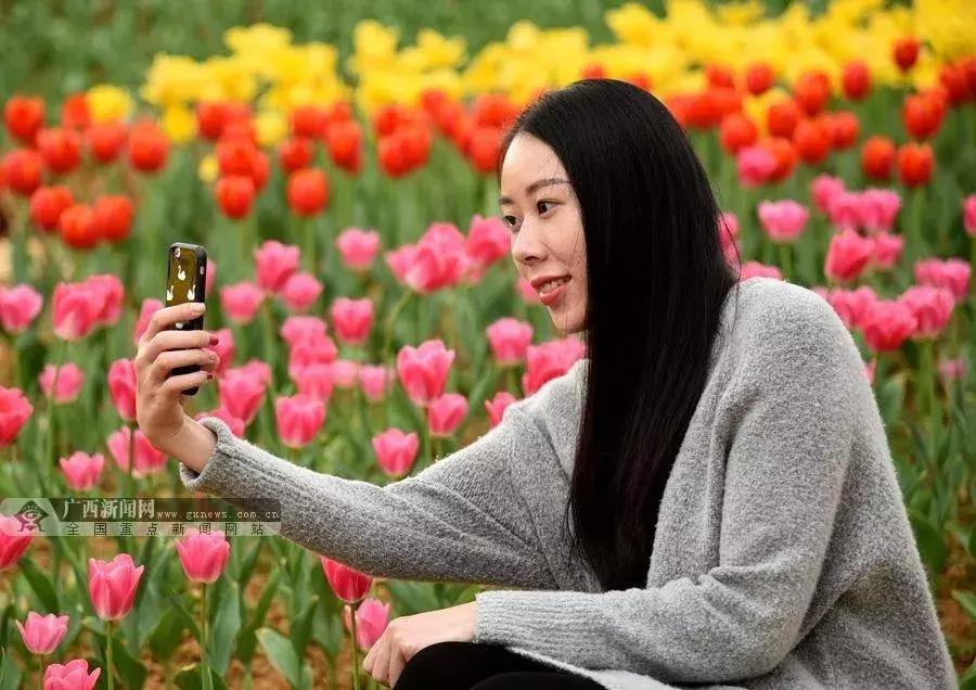 广西河池最近发生的大事,河池是中国第一个长寿市吗