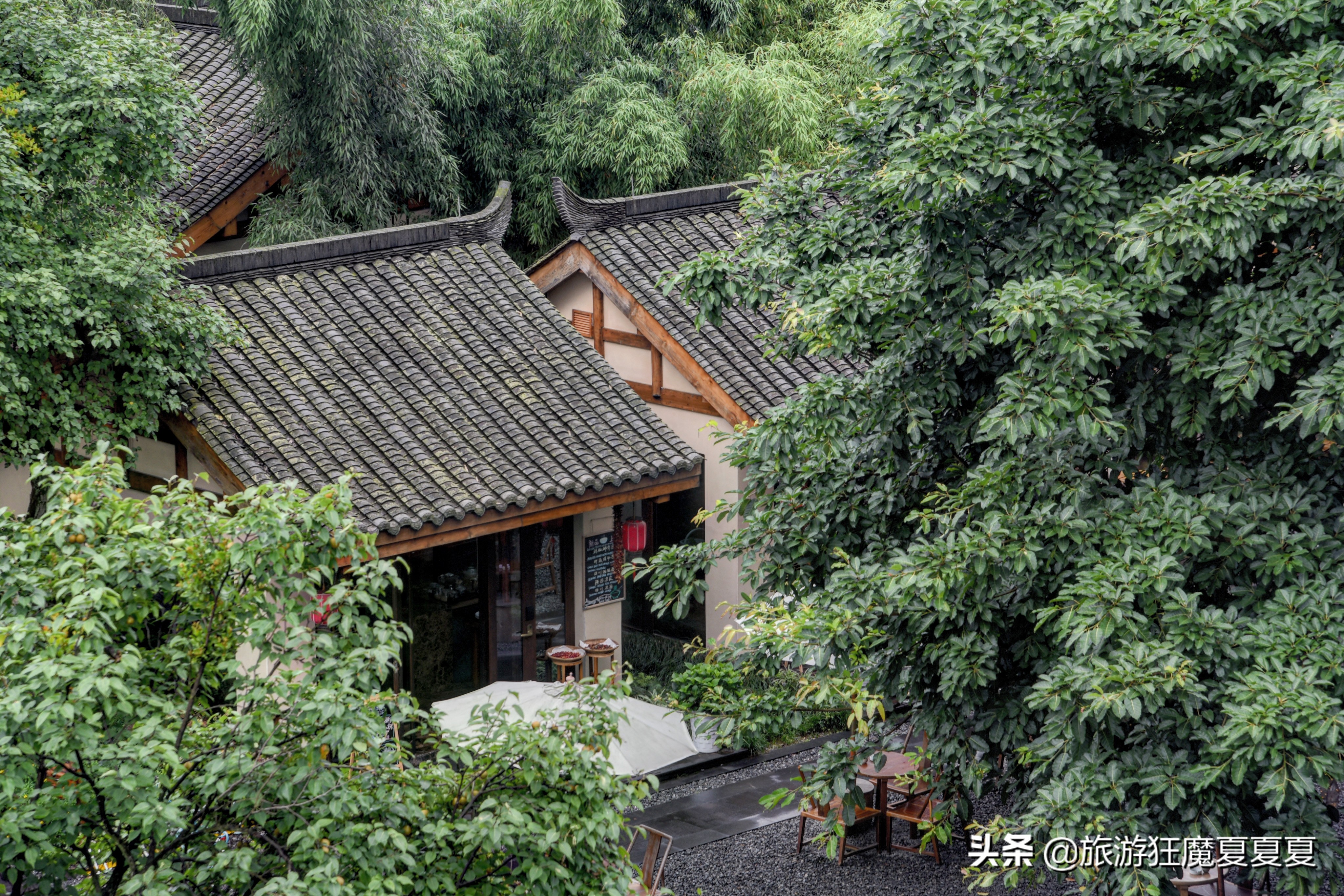 青城山值得推荐的酒店,青城山价格实惠的酒店