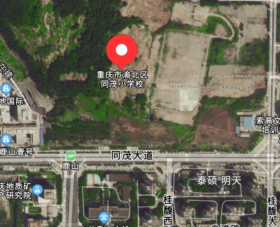 重庆中央公园配套学校,重庆中央公园南的学校