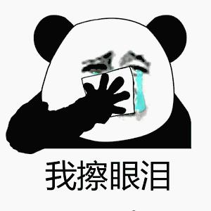 祝铲屎官麻麻节日快乐!毛孩子的行动超暖心了