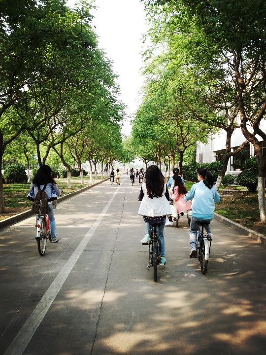 高职院校是不是大学,高职学校可以说是大学吗