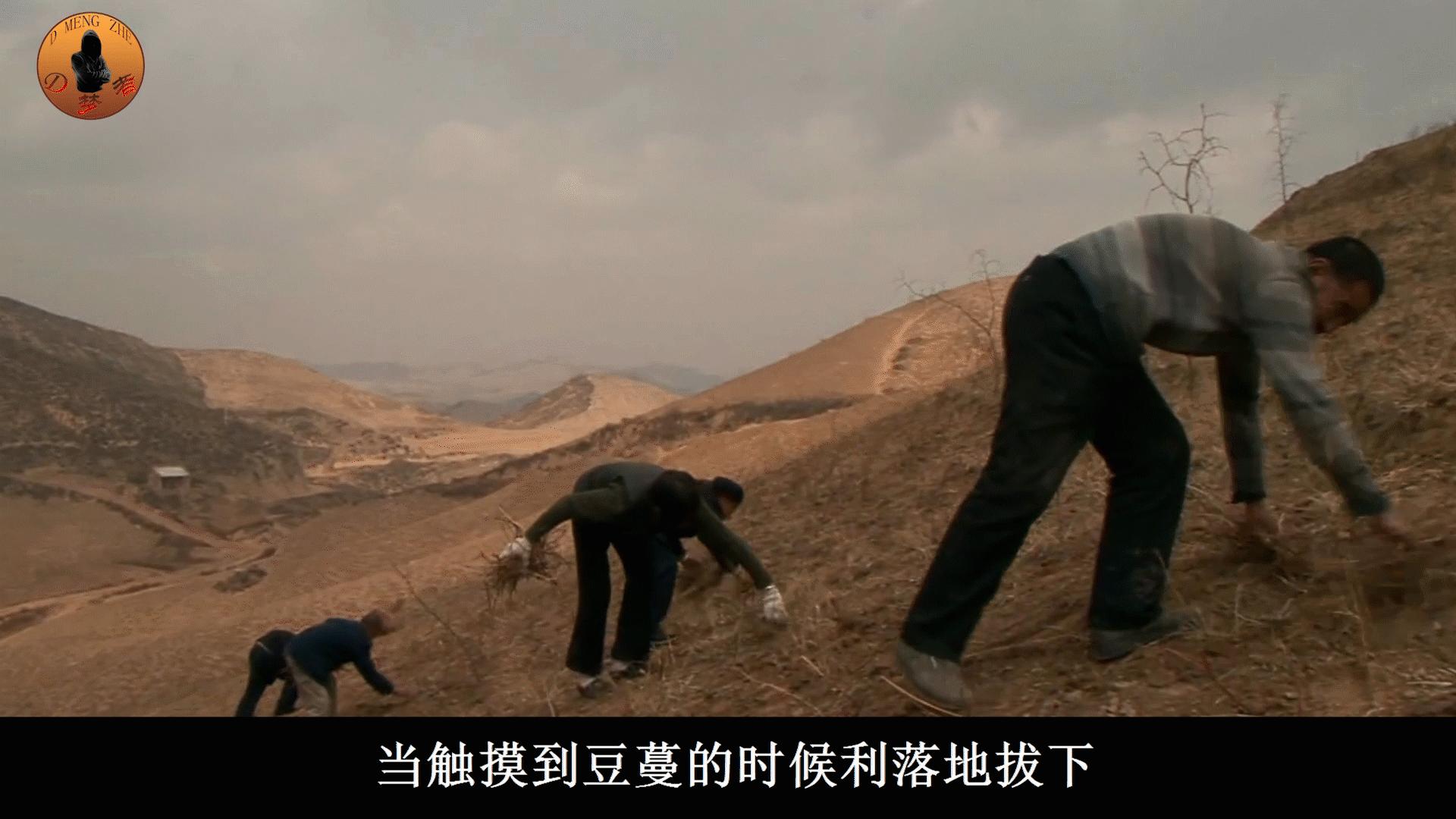 陕北说书人李守旺现状,盲人说书人李守旺后续