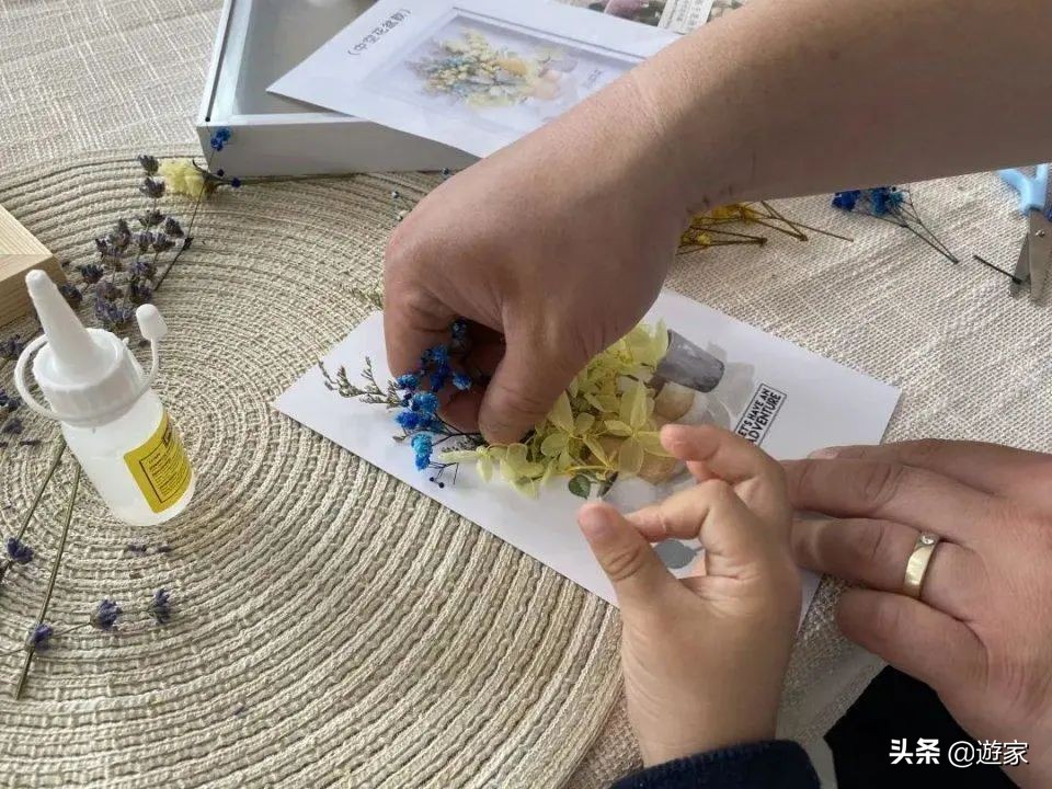 又到了薰衣草盛开的季节,上海市薰衣草花海