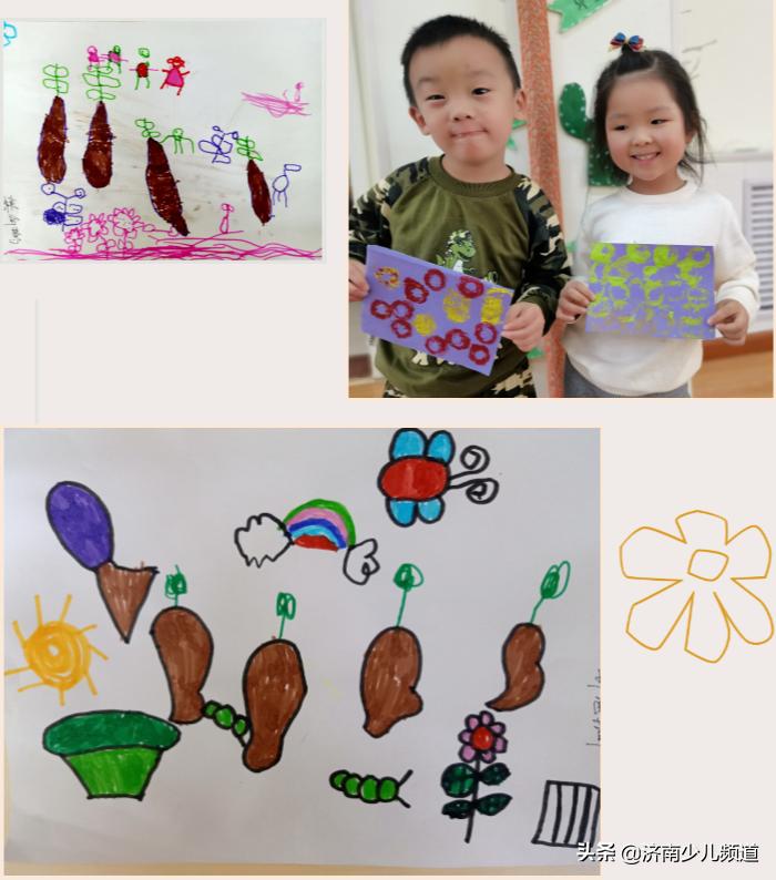 幼儿园红薯生成课活动方案,幼儿园科学教案红薯的成长过程