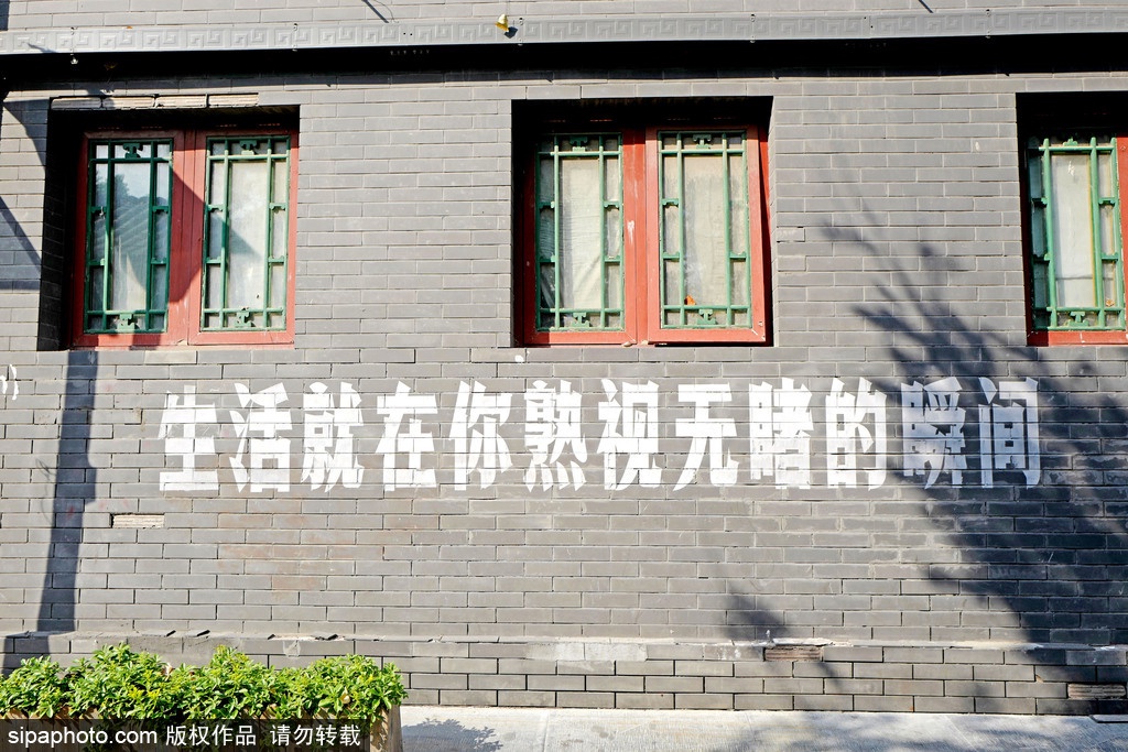 北京文艺小众胡同,胡同里有韵味的小店