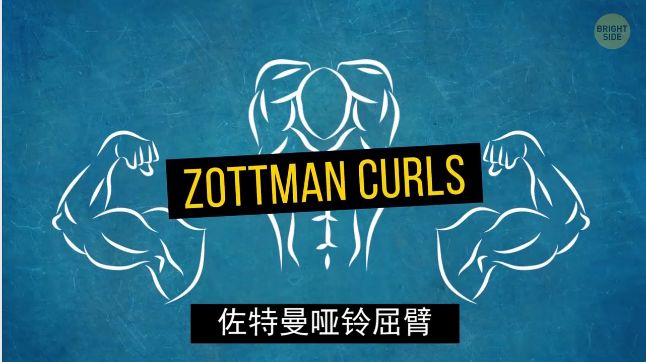 怎么练手臂的肱三头,怎么才能练出手臂的肱三头肌